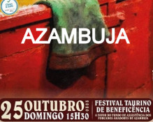 TUDO A PRONTO PARA O FESTIVAL NA AZAMBUJA 